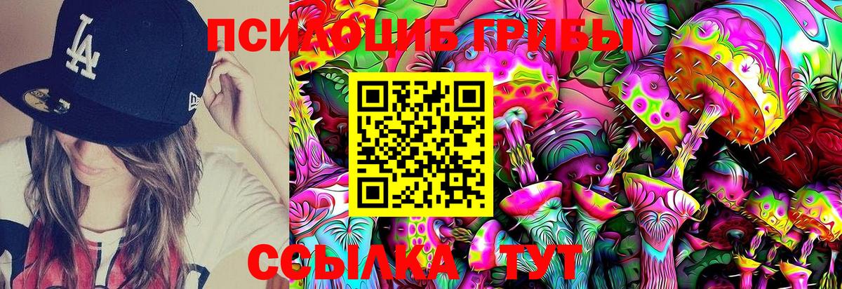 Нижнеудинск  Галлюциногенные грибы Cubensis  Галлюциногенные грибы Psilocybine cubensis  Вход с VPN 