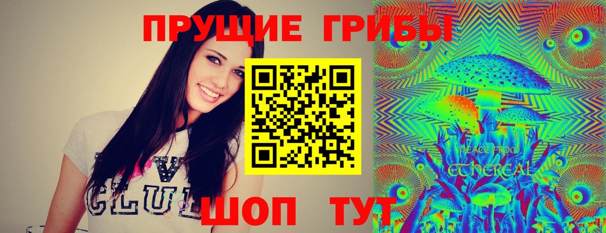Галлюциногенные грибы прущие грибы Нижнеудинск